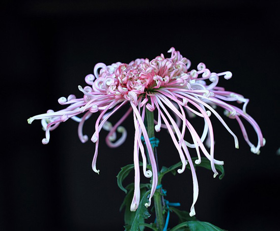 生產(chǎn)車(chē)間設(shè)備一覽